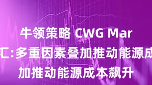 牛领策略 CWG Markets外汇:多重因素叠加推动能源成本飙升