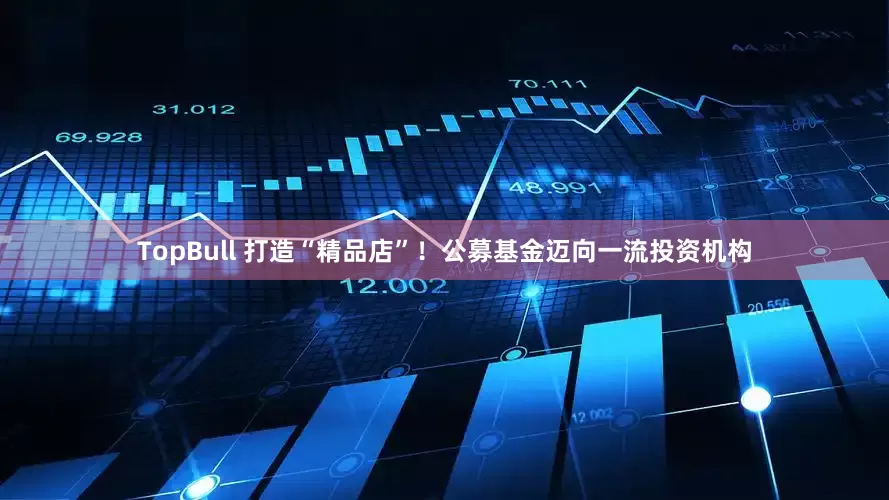 TopBull 打造“精品店”！公募基金迈向一流投资机构